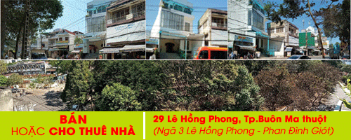 Cho thuê nhà 29 Lê Hồng Phong
